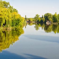 Békésszentandrás 14 holiday rentals