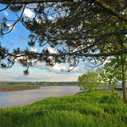 Riverview 21 hotels