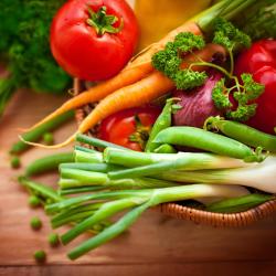 Roye 11 acomoda&ccedil;&otilde;es com cozinha