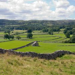 Hackness 5 holiday homes