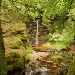 Dalmellington 7 hotels with parking