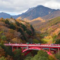 Kiyosato 5 hotels