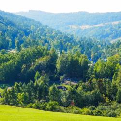 Jezersko 4 holiday homes