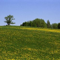 Värska 2 hoteller