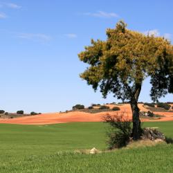 Taranc&oacute;n 4 cheap hotels