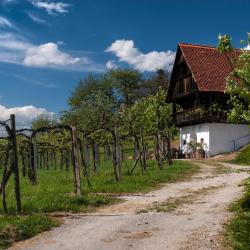Pöllau 8 hotelů s parkováním