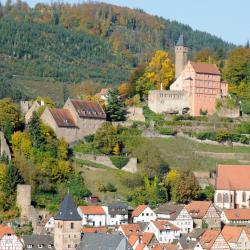 Hirschhorn (Neckar) 7 Familienhotels