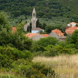 Božava 4 B&Bs