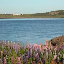 Digby 5 holiday rentals