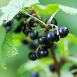 Pouilly-en-Auxois 7 hot&eacute;is com estacionamento