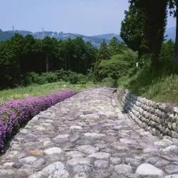 菊川市 ホテル15軒