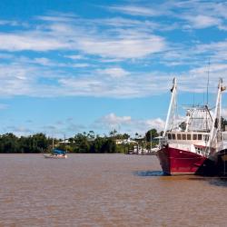 Innisfail 12 hotels