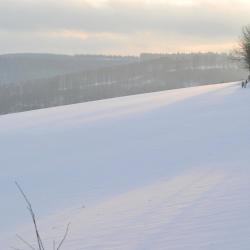 Biedenkopf 8 lägenheter