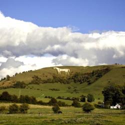 Westbury 4 B&Bs