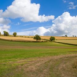 Deddington 5 hoteles que aceptan mascotas