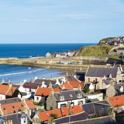 Cullen 16 holiday rentals