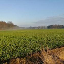 Bocholt 3 campsites