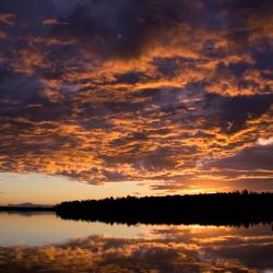 Wasilla 43 hotels