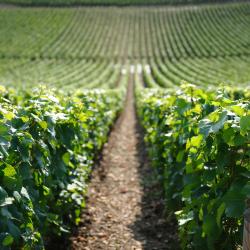 Montbard 13 hot&eacute;is com estacionamento