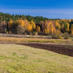 Gargždai 4 pet-friendly hotels