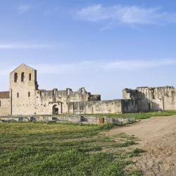 Rech 5 Ferienwohnungen