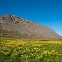 Patreksfjörður 10 hotels