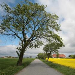 Gadbjerg 6 hotelů
