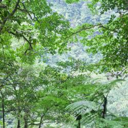 Vara Blanca 4 hoteles con estacionamiento
