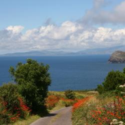 Valentia Island 7 bed & breakfast
