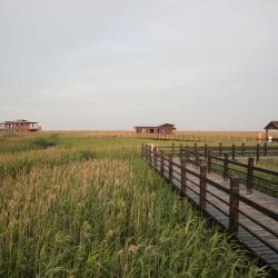 Chongming 3 hotels with parking