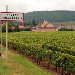 Gevrey-Chambertin 5 hotels