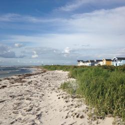 Skanör med Falsterbo 6 cottages