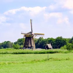 Loenen 4 B&B