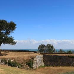 Le Château-dʼOléron 3 bed and breakfast
