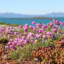 Egersund 9 ferieboliger