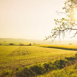 Łask 4 familiehotels