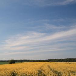 Eichenzell 3 hoteles familiares