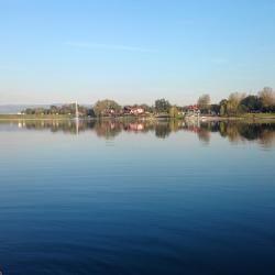 Veliko Gradište 98 holiday rentals