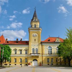 Kikinda 22 holiday rentals