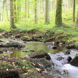 Lajoux 5 hotels with parking