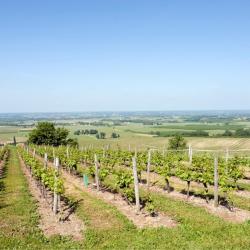 Saint-Laurent-des-Vignes 7 hotels