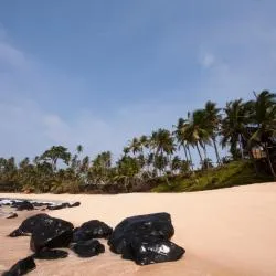 일레우 다스 롤라스