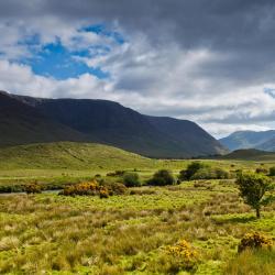 Newbridge 7 holiday rentals