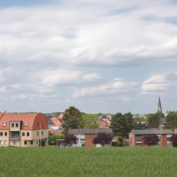 Tessenderlo 3 cottages