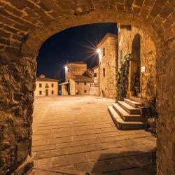 Pergine Valdarno 20 vacation rentals
