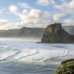 Piha 6 cottages