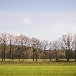 Haidm&uuml;hle 3&nbsp;chalets