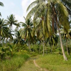 Bahau 7 of the cottages