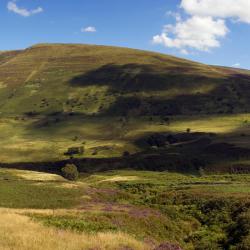 Llangammarch Wells 3 khách sạn gia đình