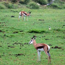 Kareedouw 5 hoteles con estacionamiento
